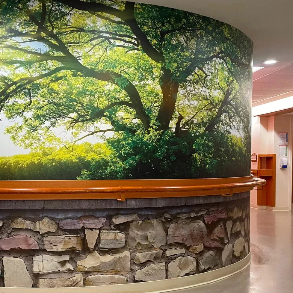 Sensory Scapes Grand River Hospital Foundation