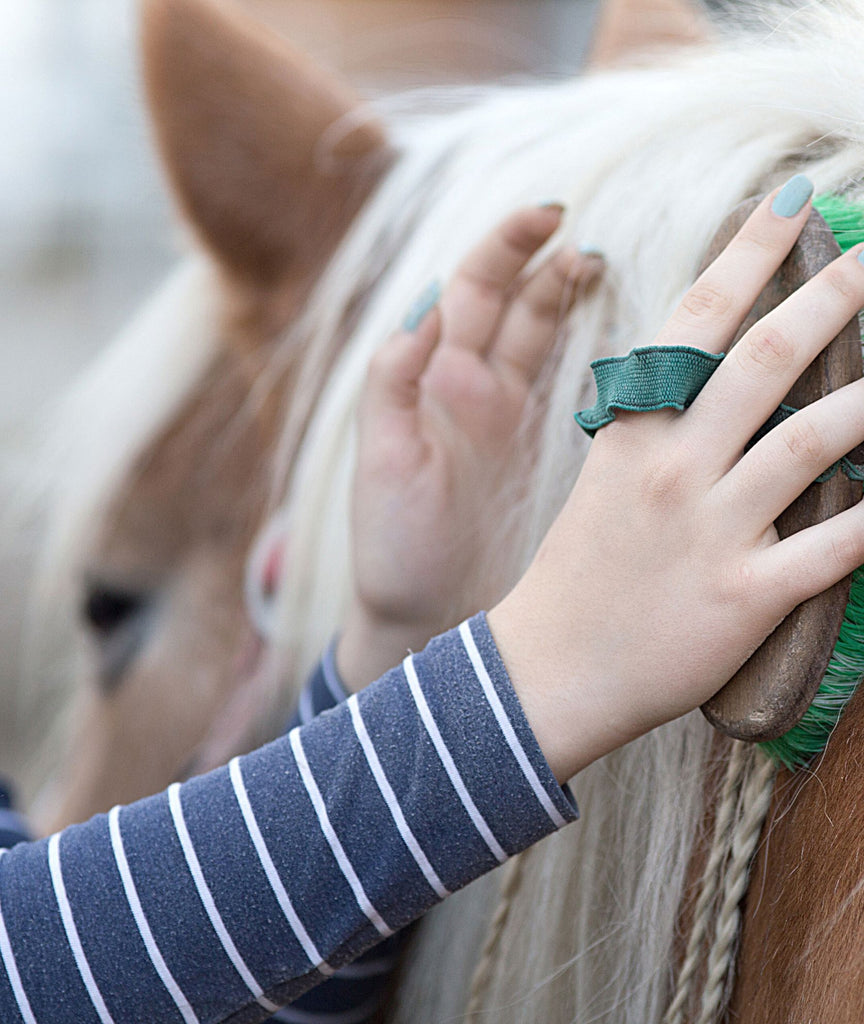 How Horses Help Us Heal